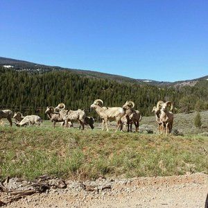 Meet your Posher, Ron